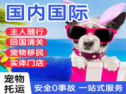 攀枝花保安营机场空运国际宠物托运 【国